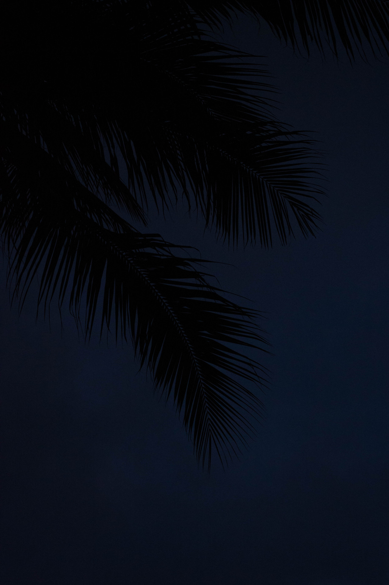 Archillect ID 172432