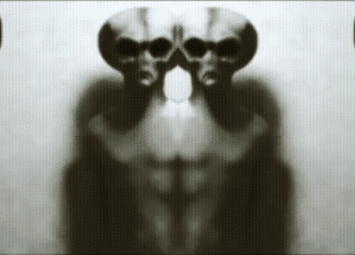 Archillect ID 172461