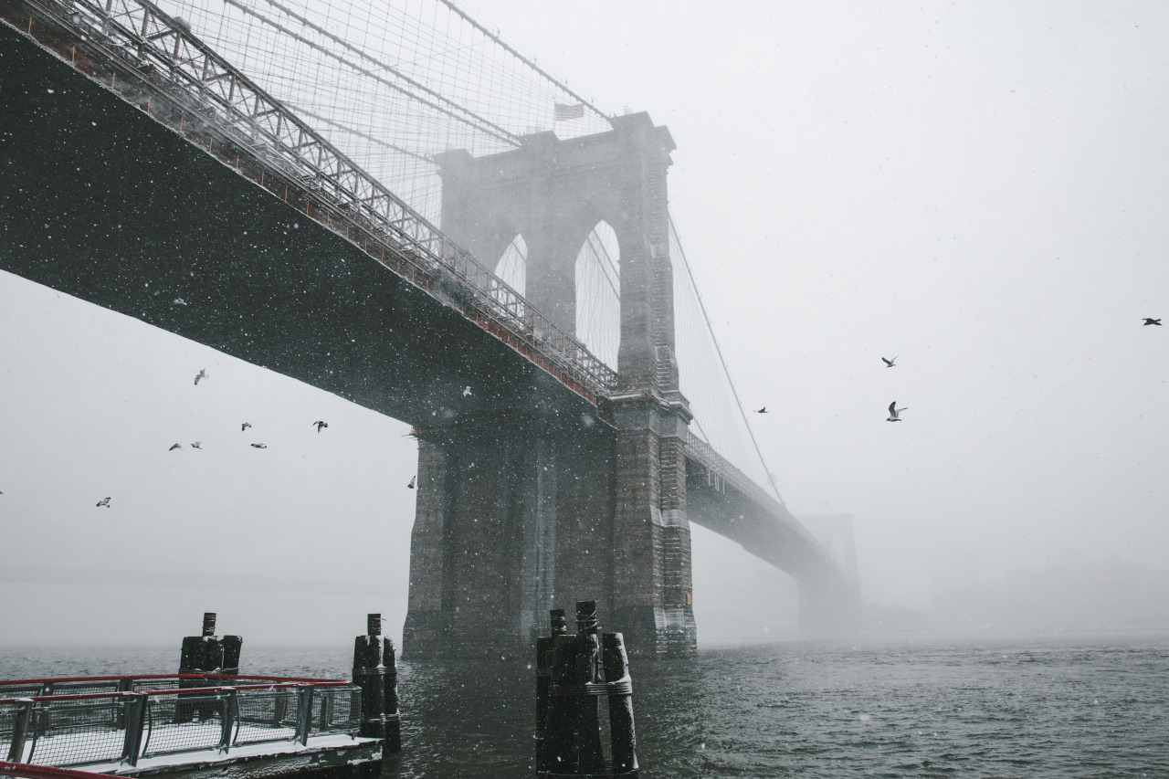 Archillect ID 172493