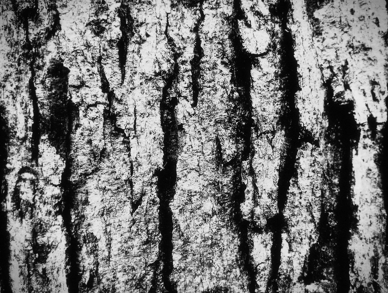 Archillect ID 172542