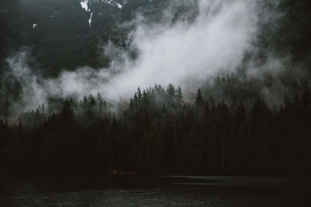 Archillect ID 172578