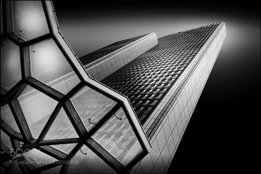 Archillect ID 172614