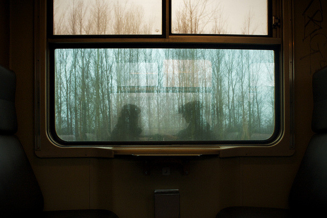 Archillect ID 172623
