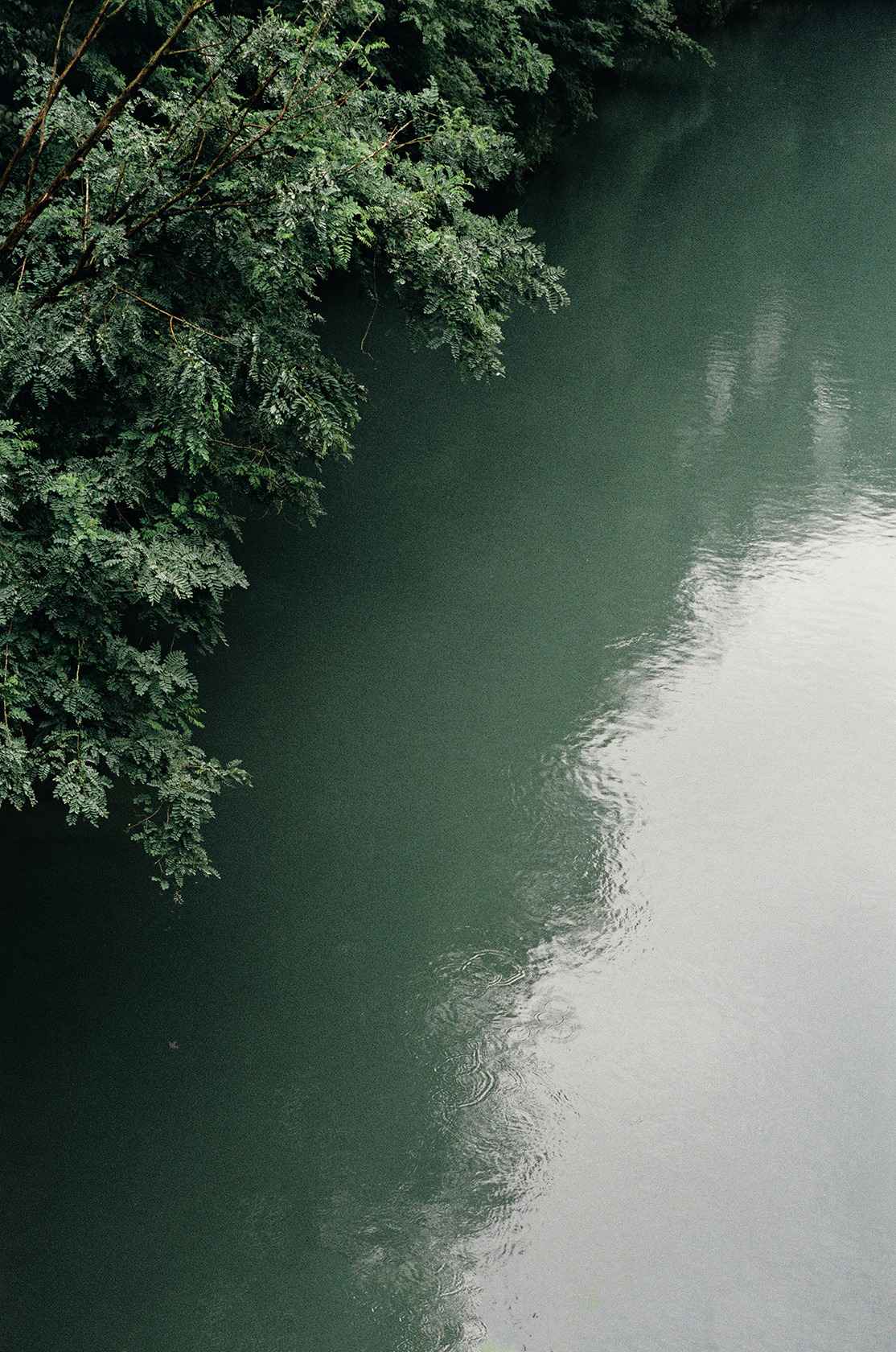 Archillect ID 172642