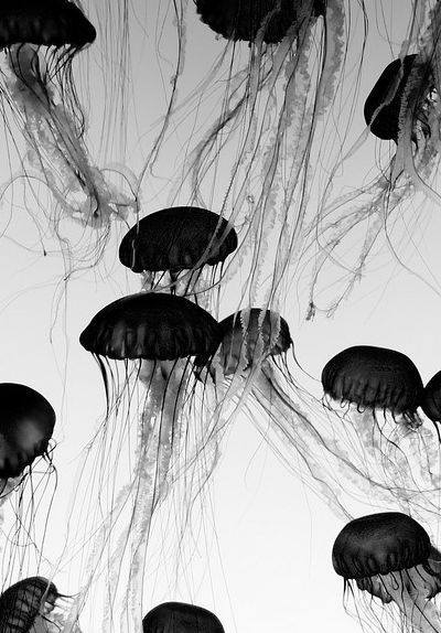 Archillect ID 172664