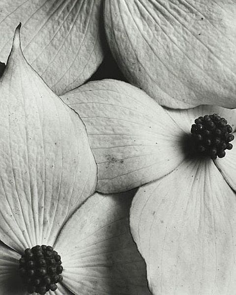 Archillect ID 172920