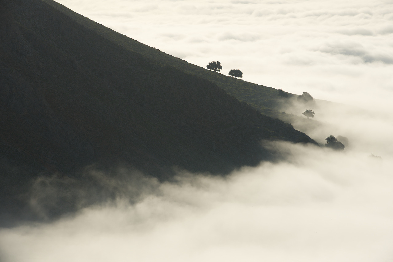 Archillect ID 172923