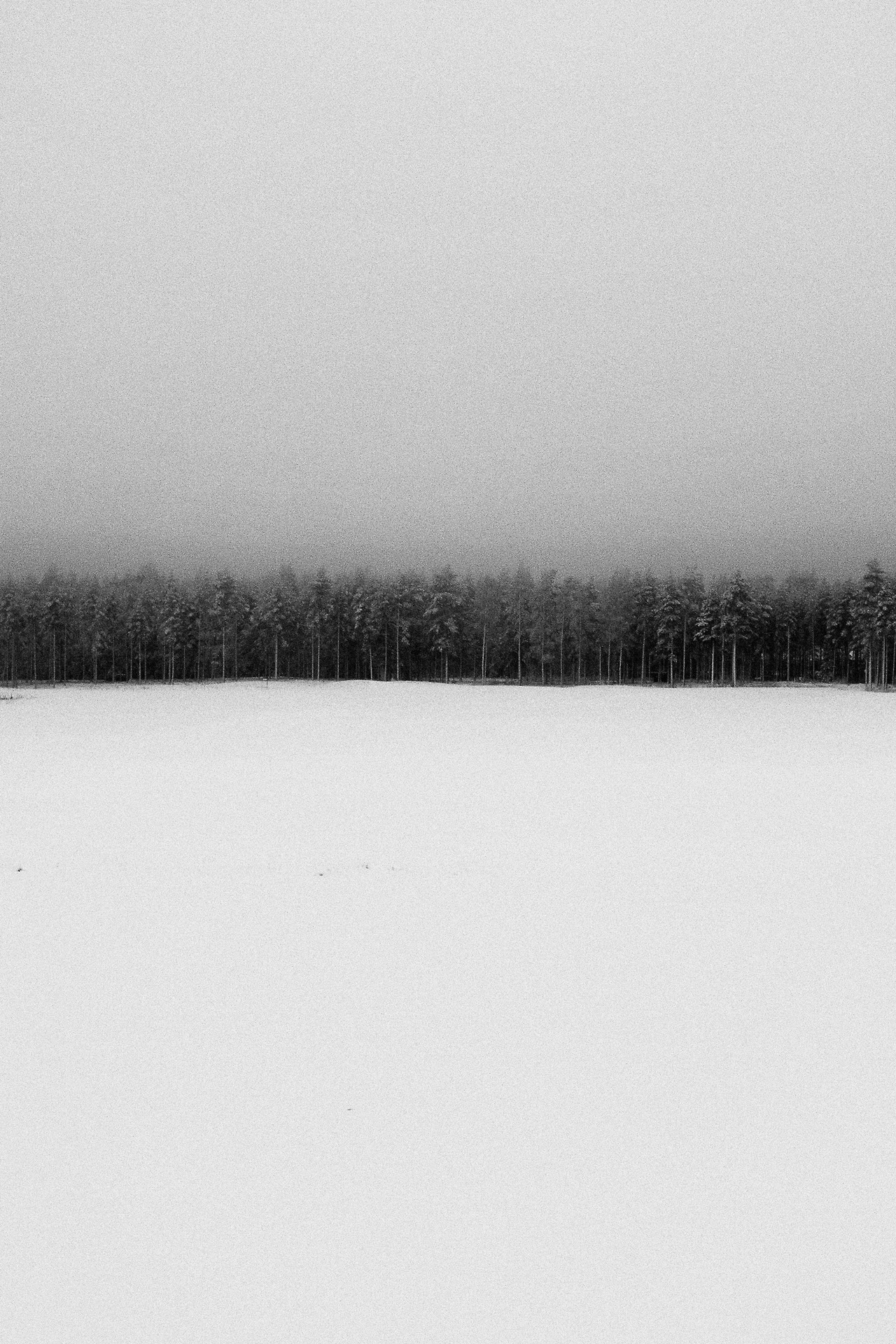 Archillect ID 173119