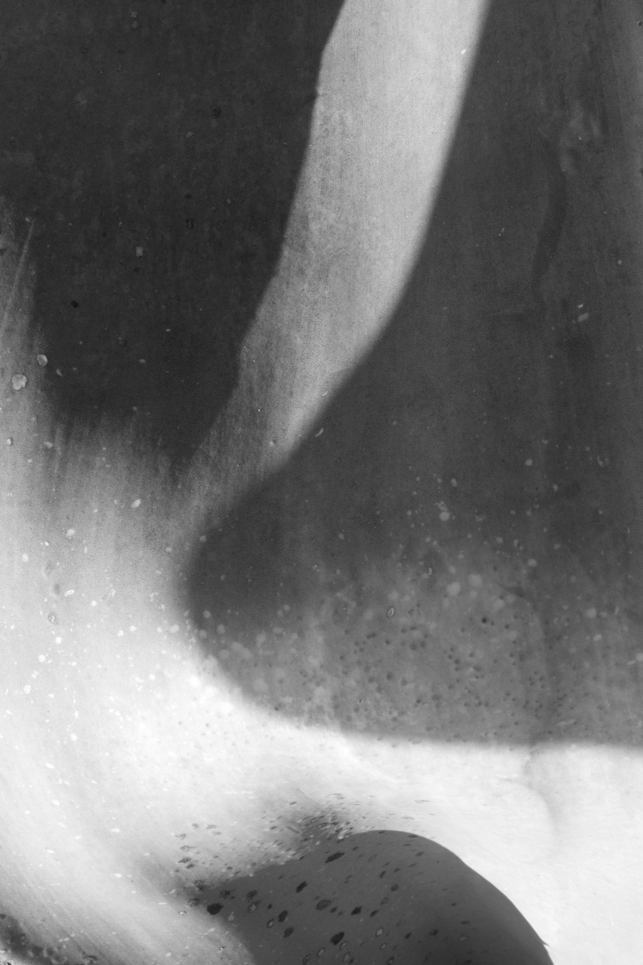 Archillect ID 173143