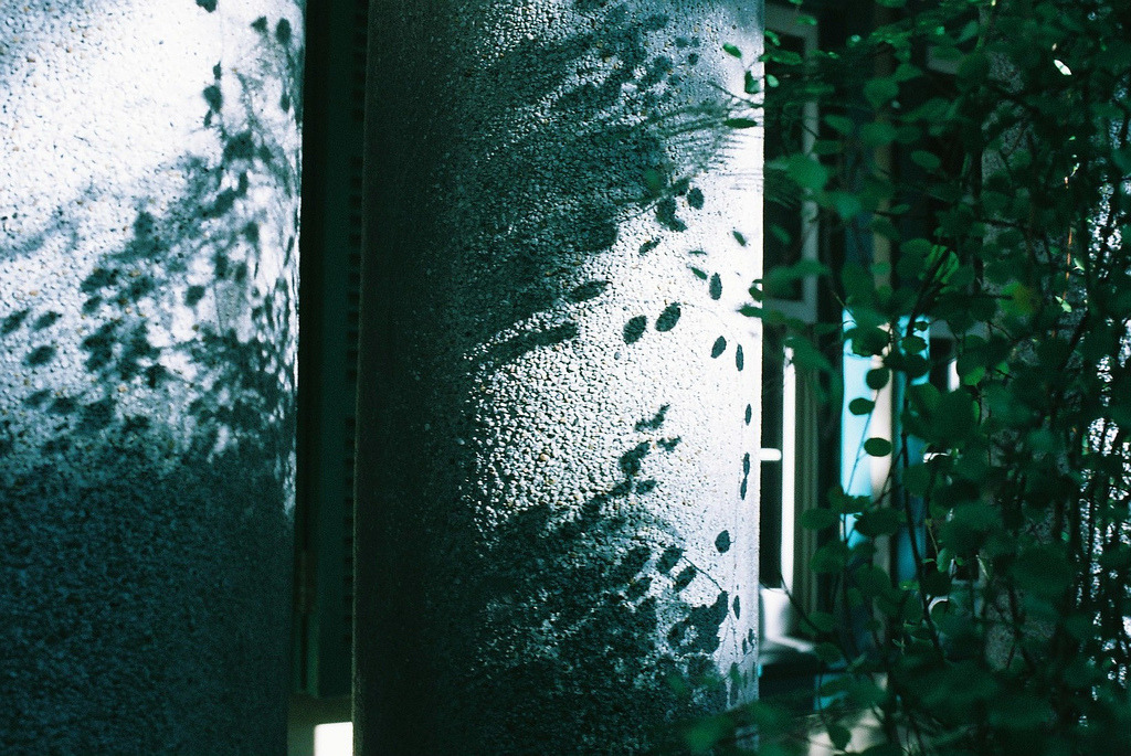 Archillect ID 173184