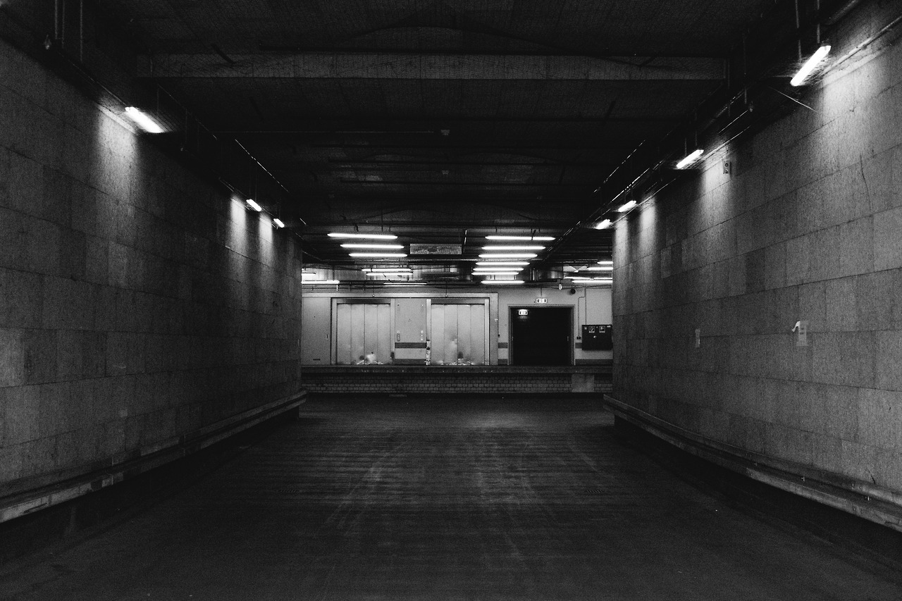 Archillect ID 173484