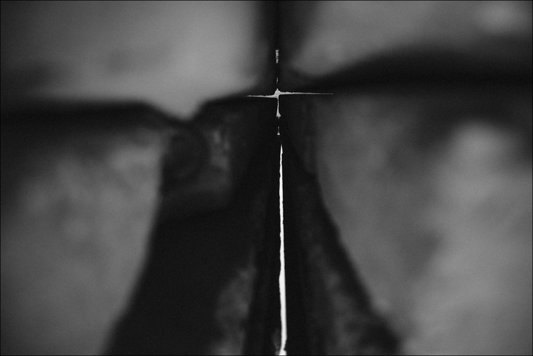 Archillect ID 173833