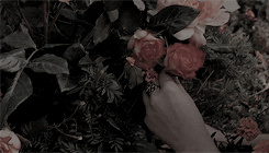 Archillect ID 174070