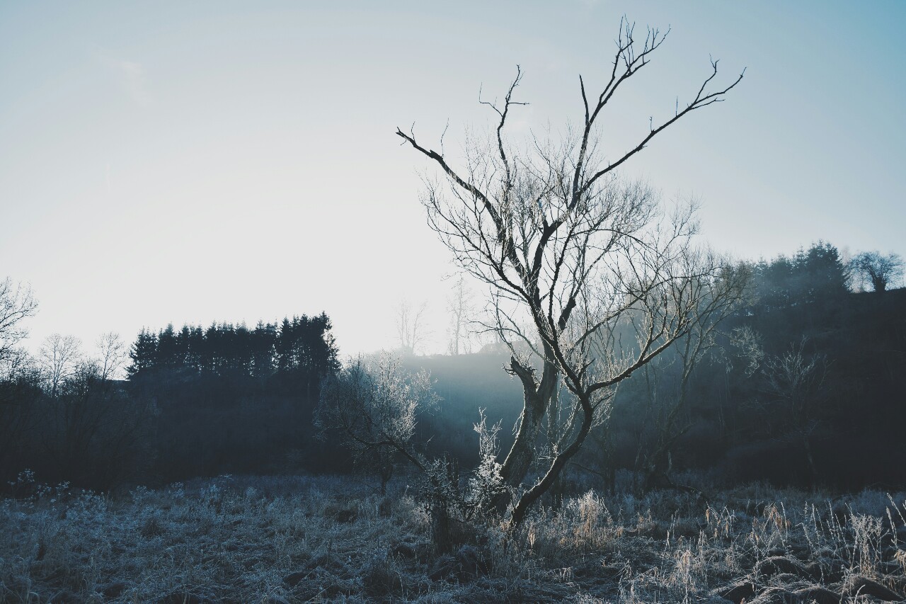 Archillect ID 174300