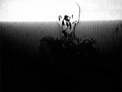 Archillect ID 174438