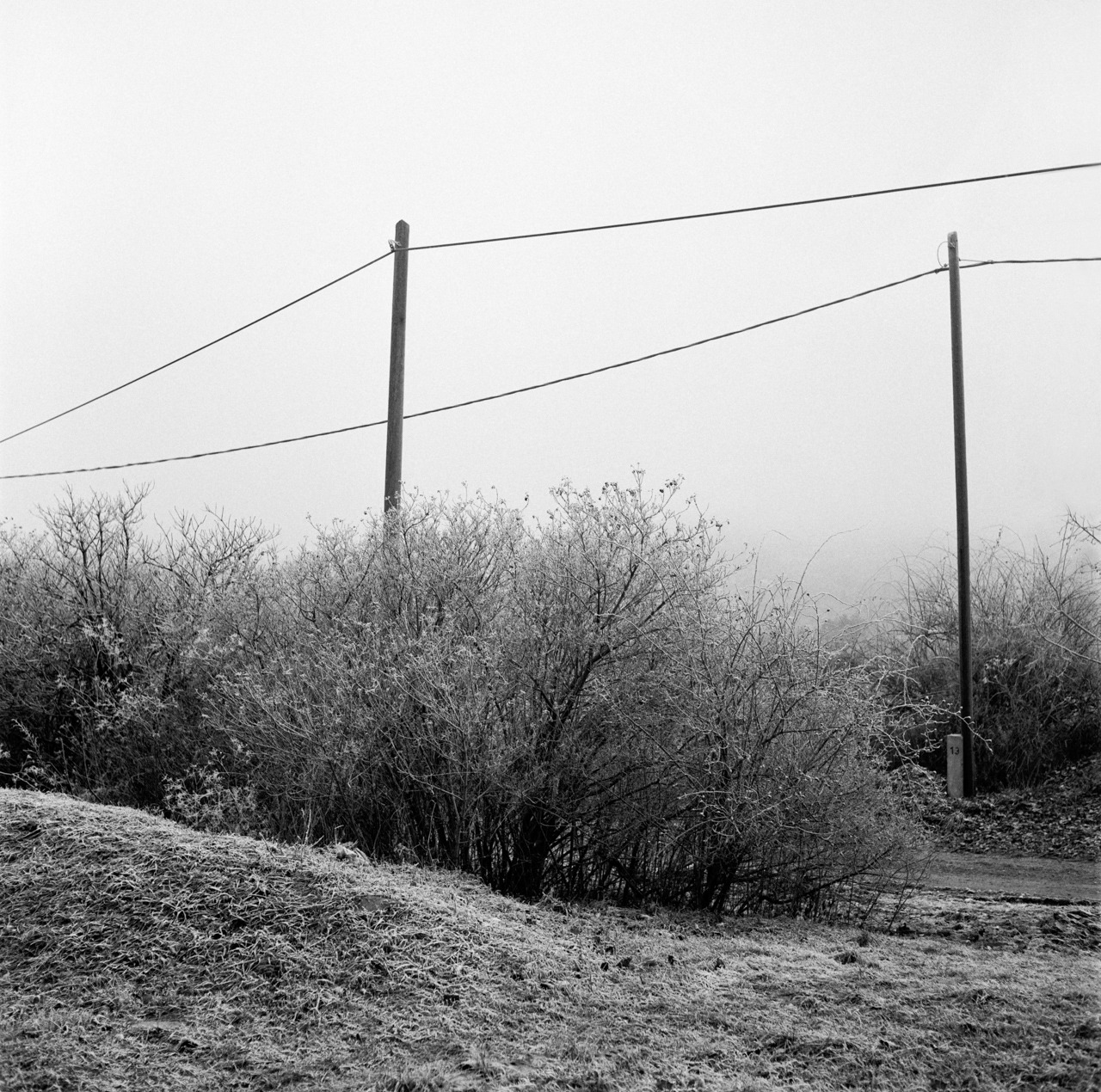 Archillect ID 174474