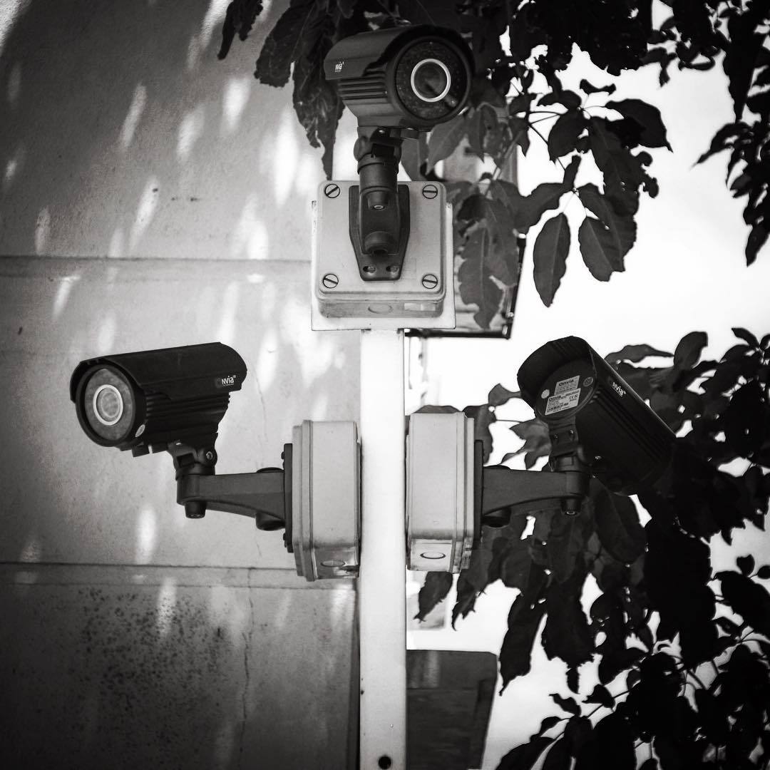 Archillect ID 174499