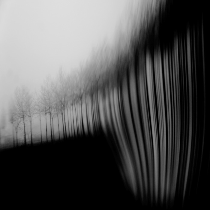 Archillect ID 174845