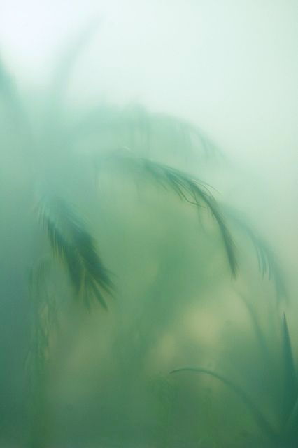 Archillect ID 174904