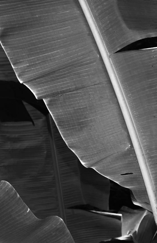Archillect ID 174907