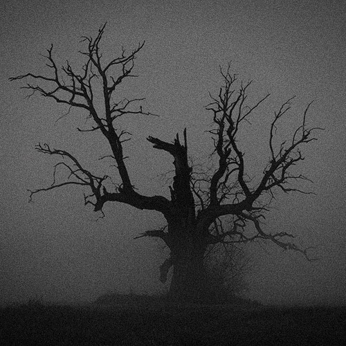 Archillect ID 175070
