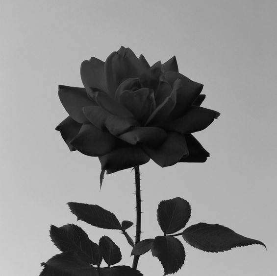 Archillect ID 175108