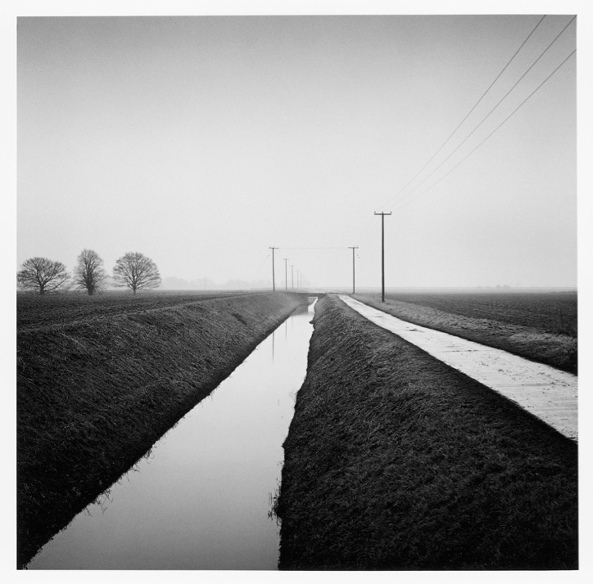 Archillect ID 175165