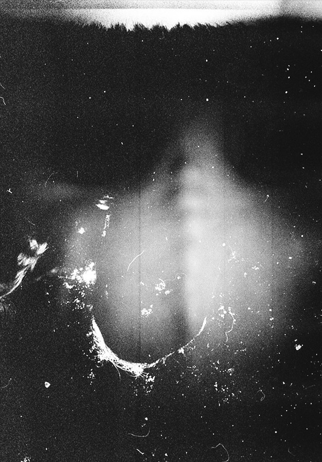 Archillect ID 175221