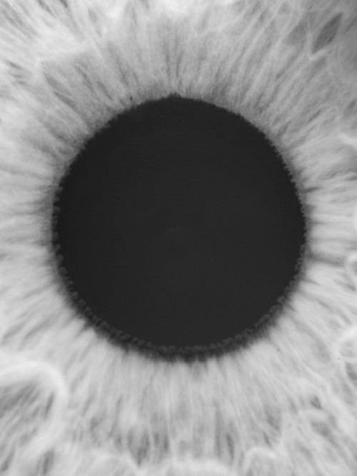 Archillect ID 175453
