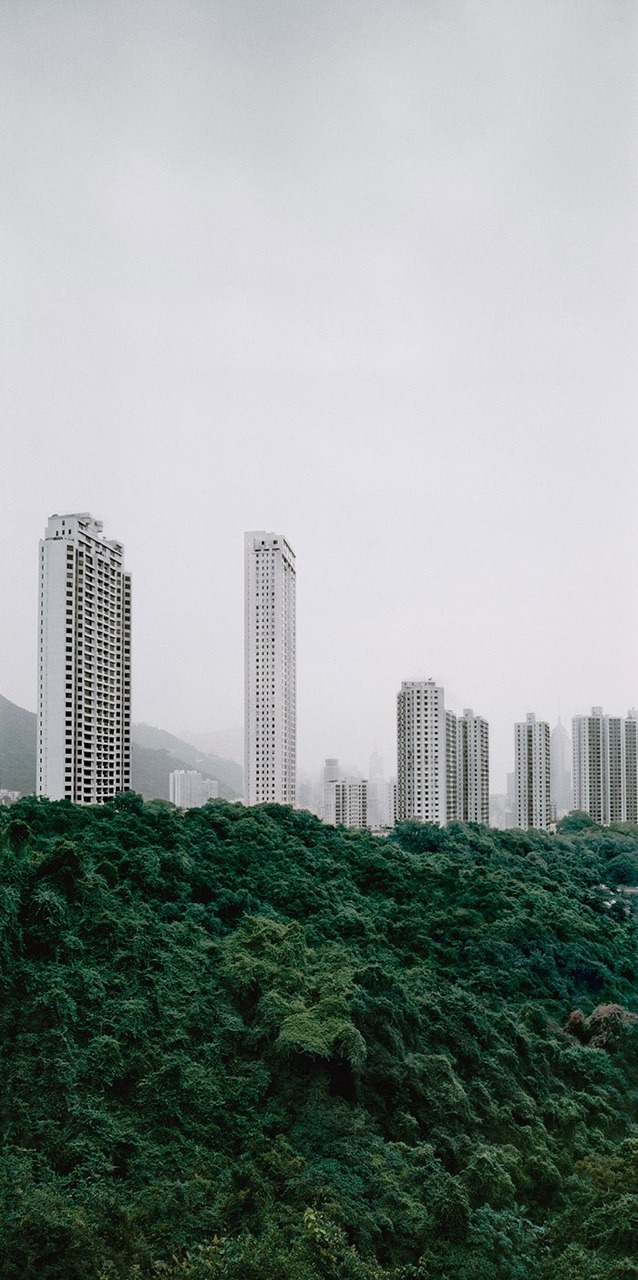 Archillect ID 175526