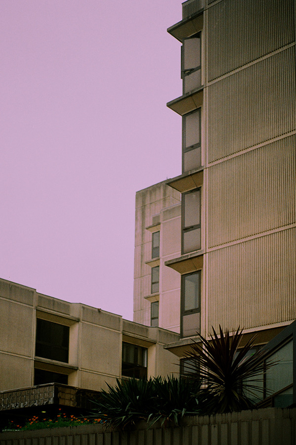 Archillect ID 175667