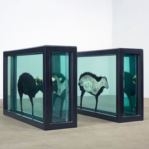 Archillect ID 175686
