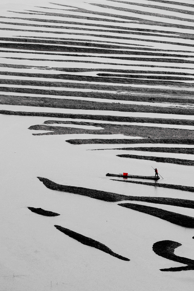 Archillect ID 175716