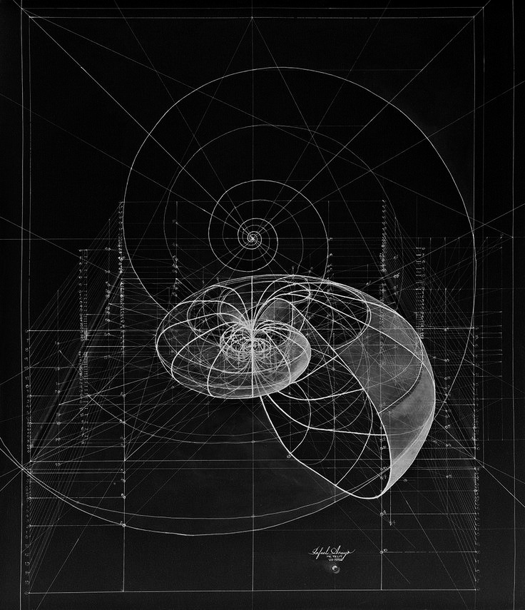 Archillect ID 175872