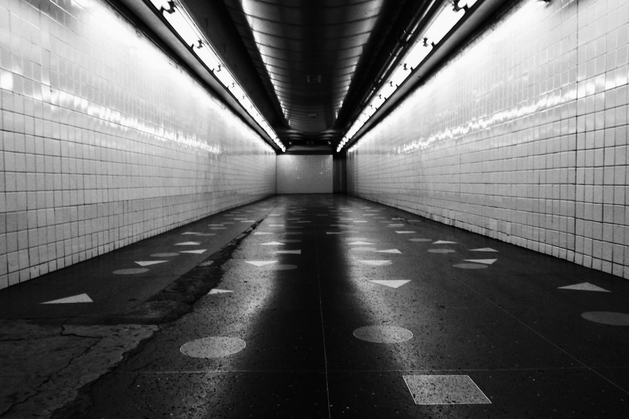 Archillect ID 175913