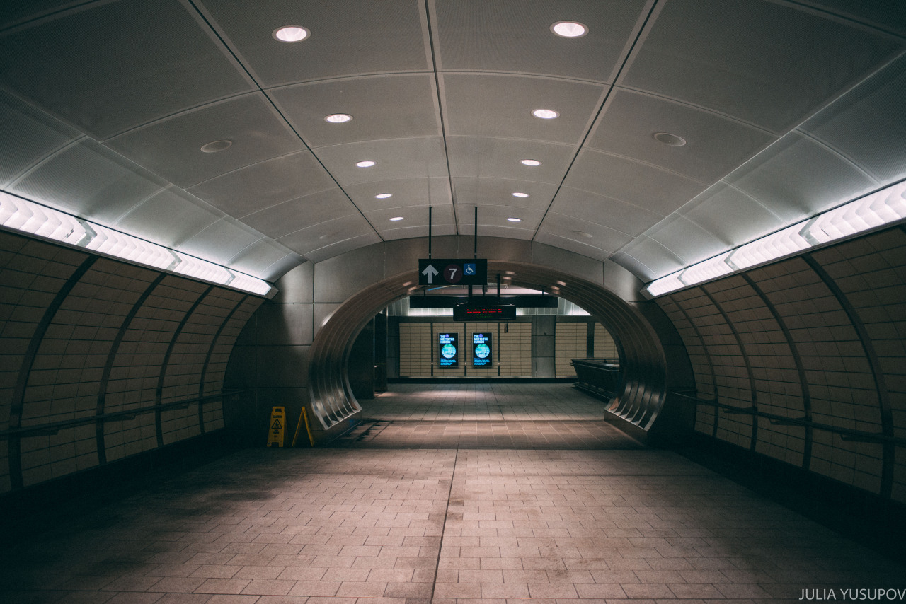 Archillect ID 175942