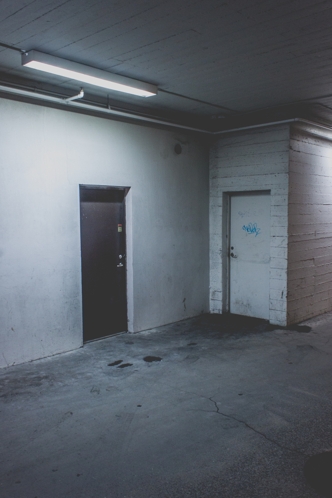 Archillect ID 175956