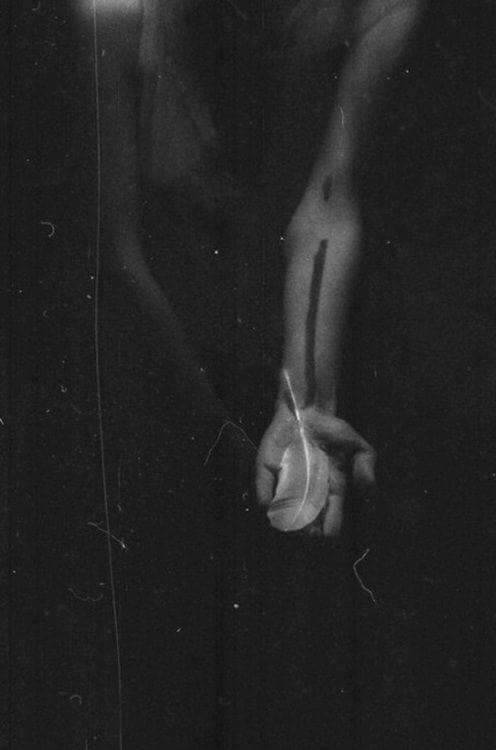 Archillect ID 175957