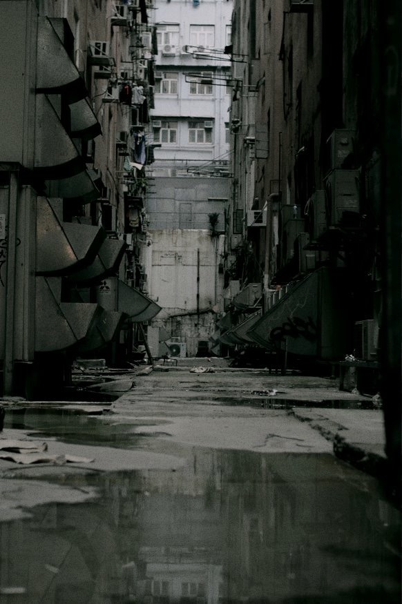 Archillect ID 176010