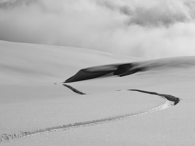 Archillect ID 176136