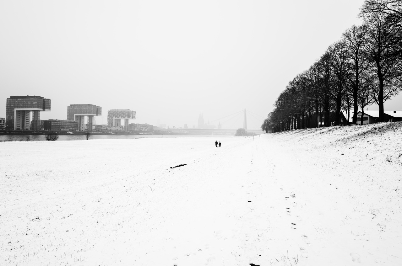 Archillect ID 176528