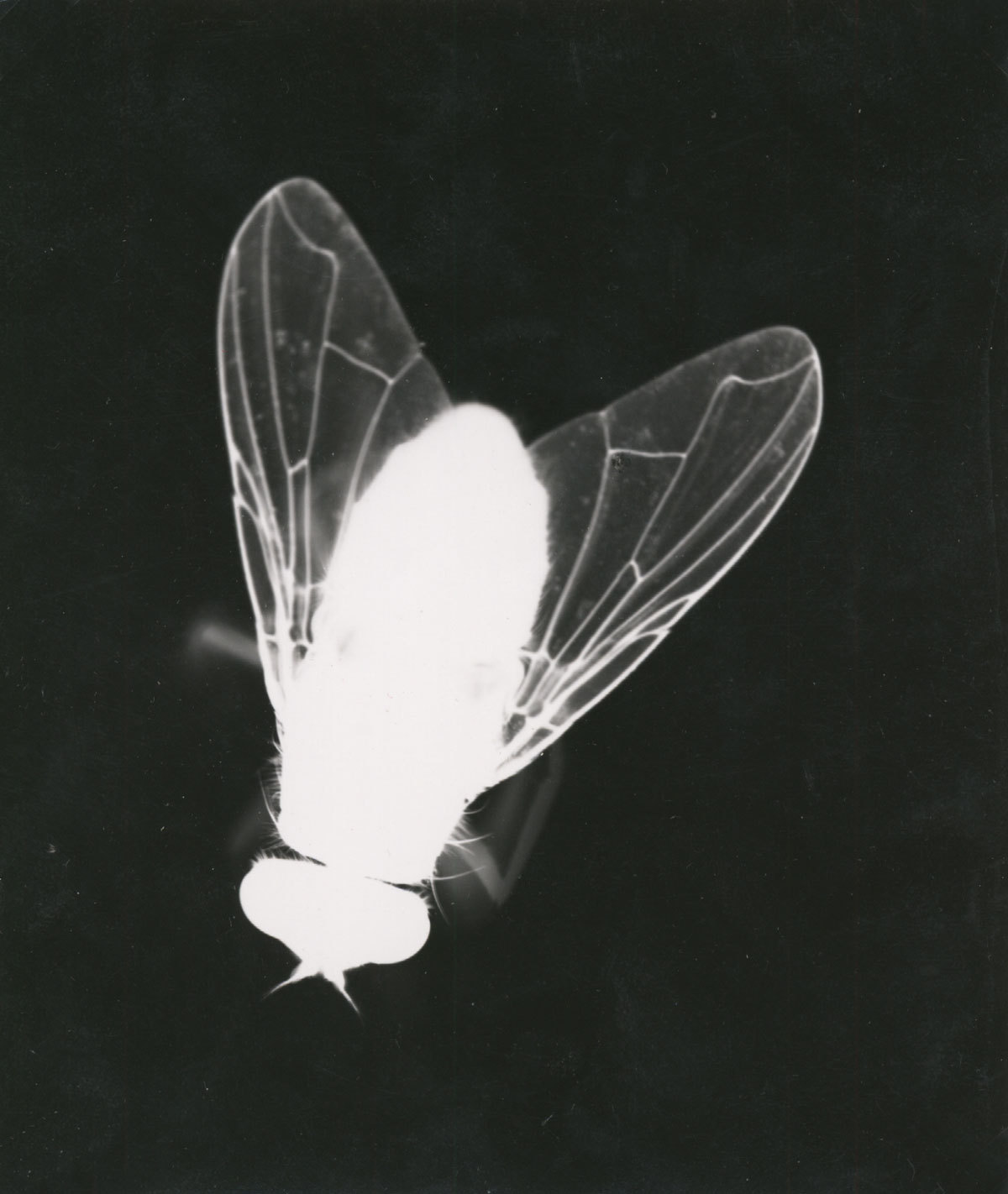 Archillect ID 176935
