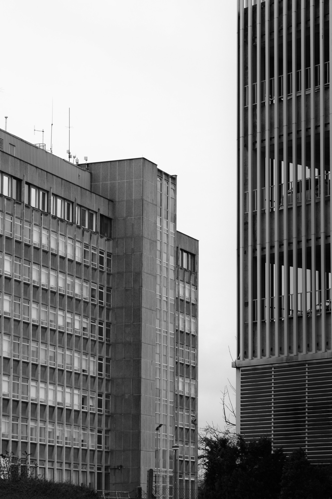 Archillect ID 177048