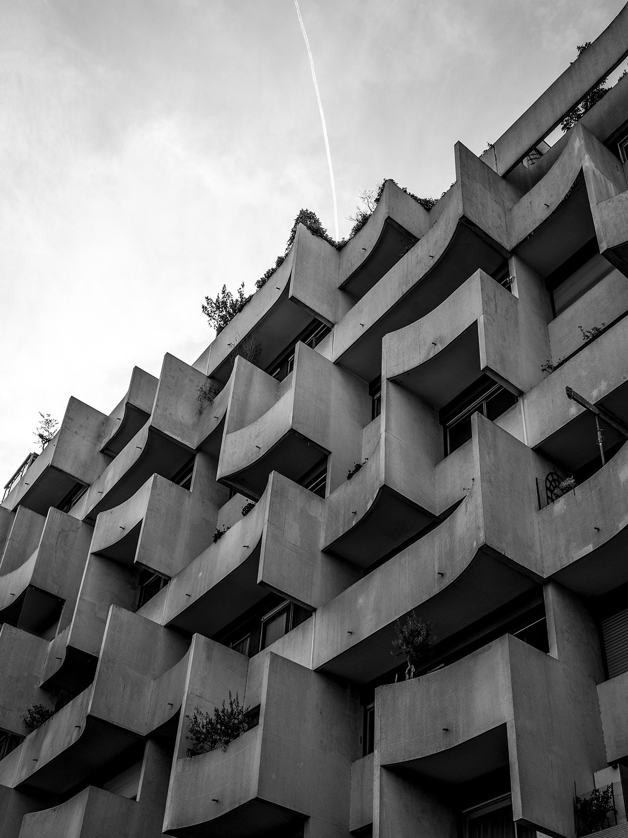 Archillect ID 177272
