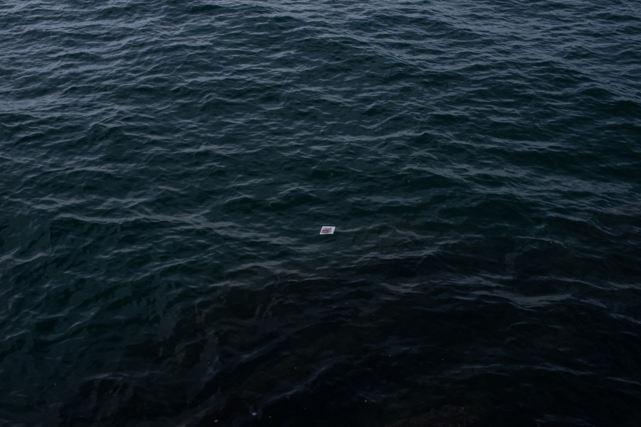 Archillect ID 177315