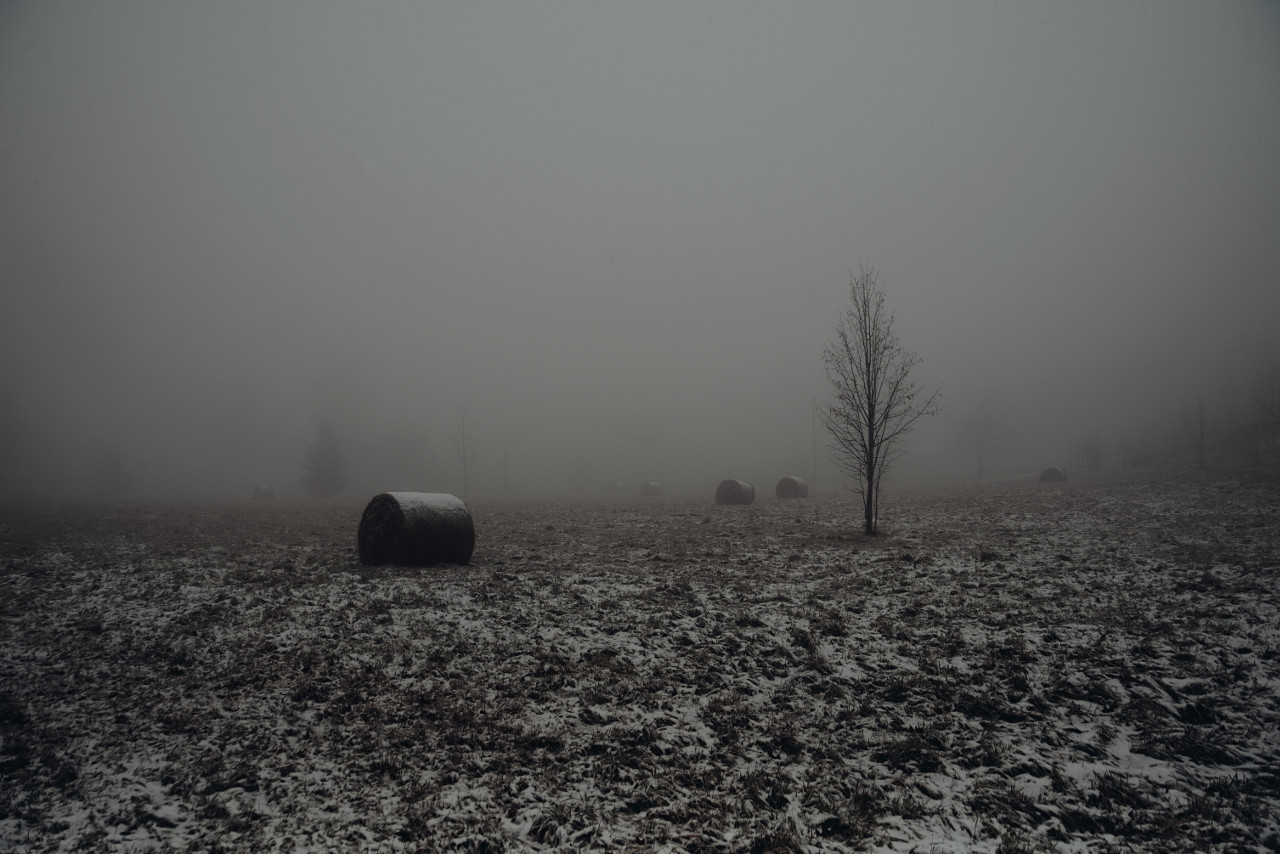 Archillect ID 177406