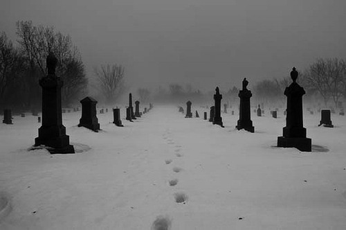 Archillect ID 177658