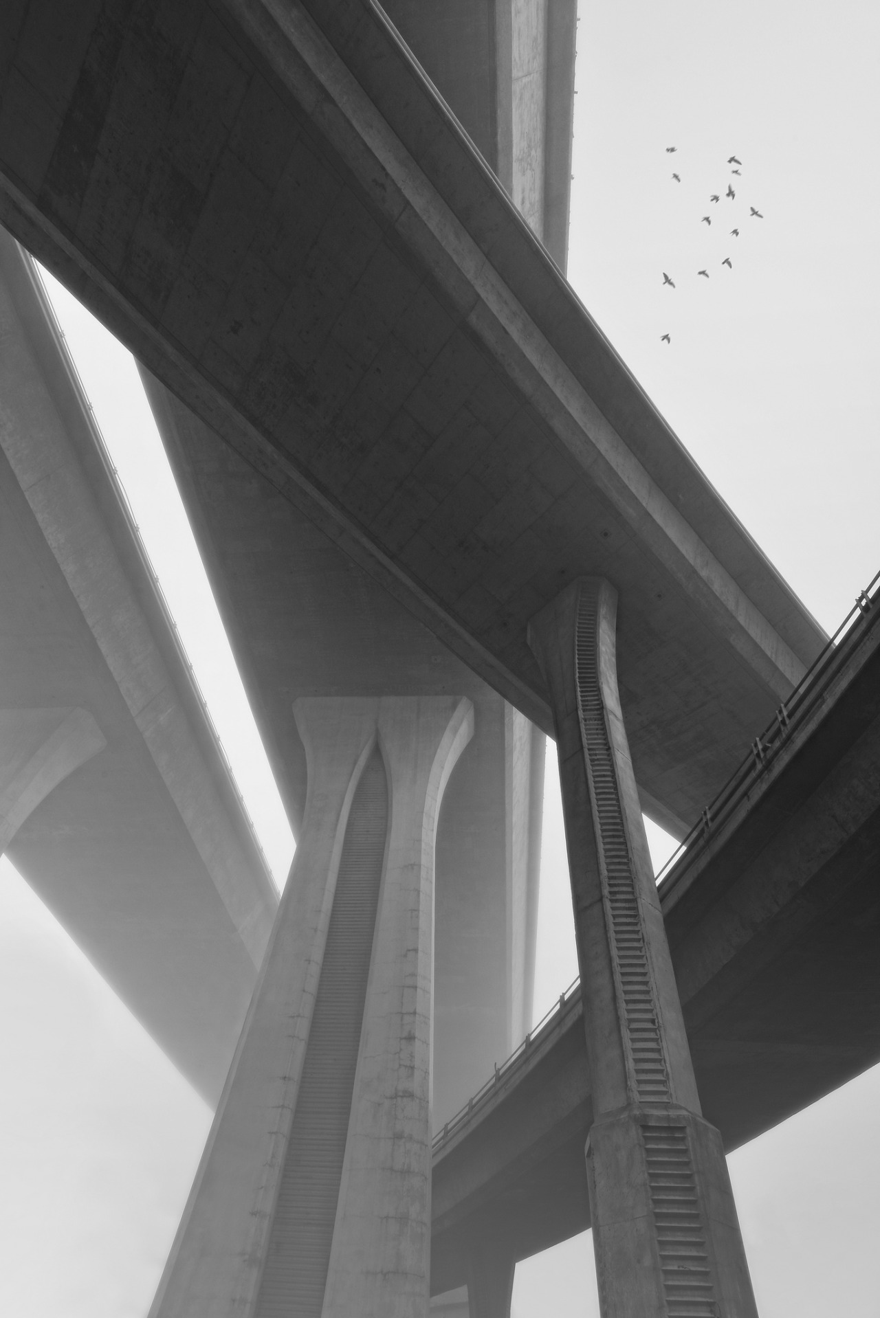 Archillect ID 177745