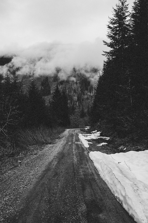 Archillect ID 177792