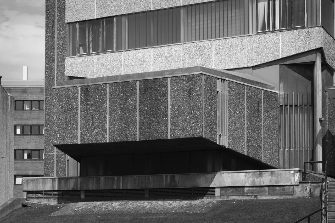 Archillect ID 177962